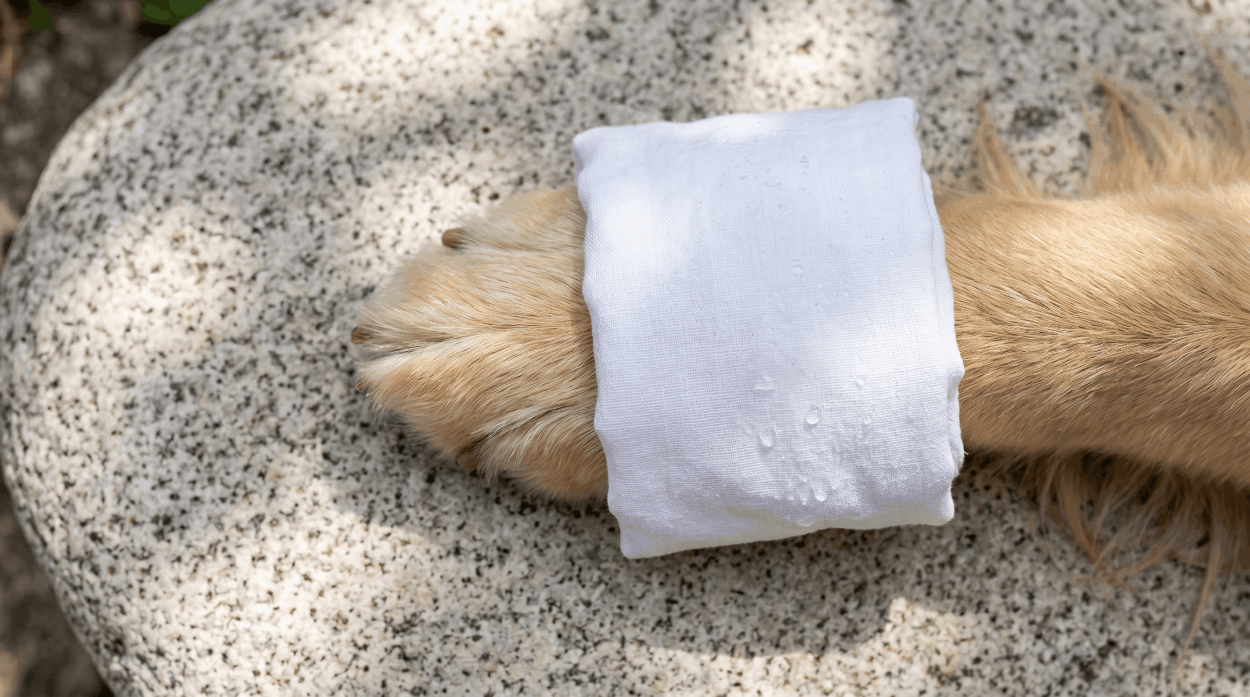Immediate Cooling First Aid