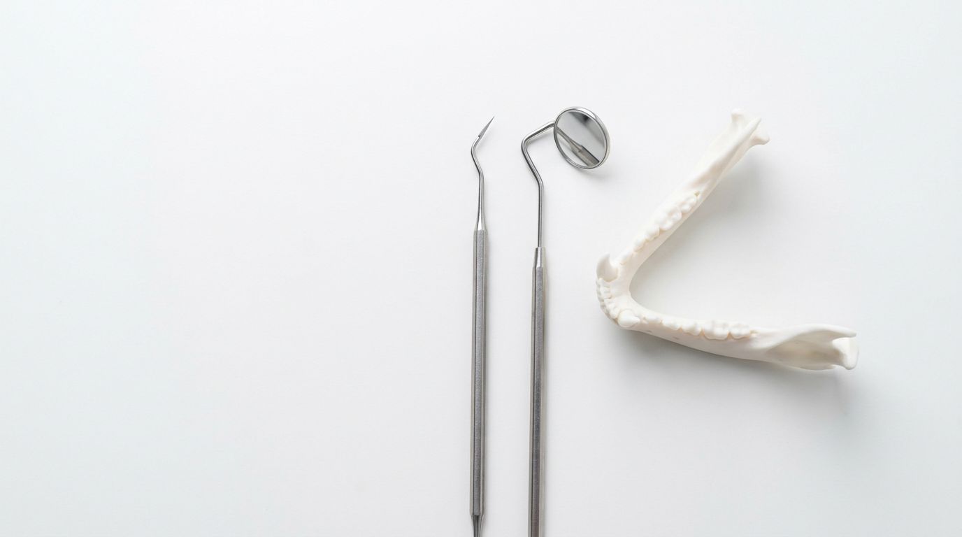 Comprehensive Feline Dental Care Tools